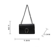 Load image into Gallery viewer, Metro Mini Chain Crossbody Bag
