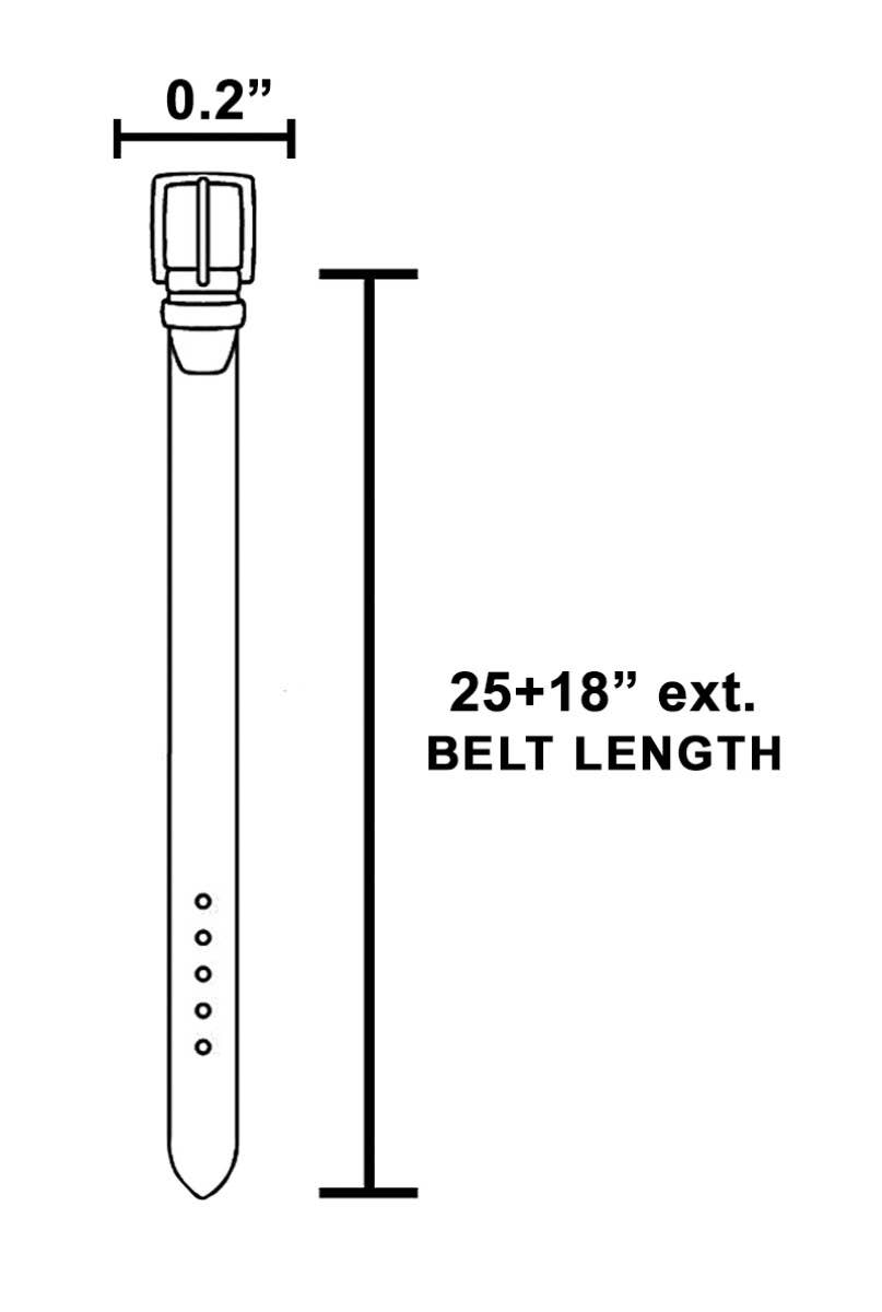 Luxe Glint Chain Belt