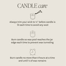 Load image into Gallery viewer, Island Air 12 oz Candle
