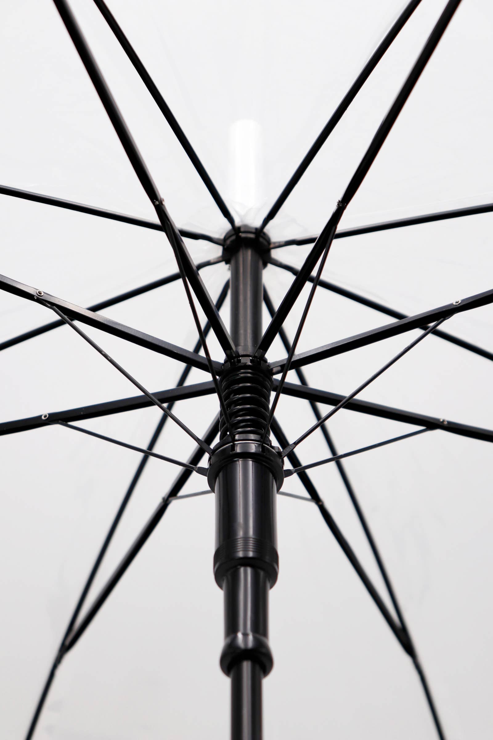 Clear Sky: Bubble Dome Umbrella