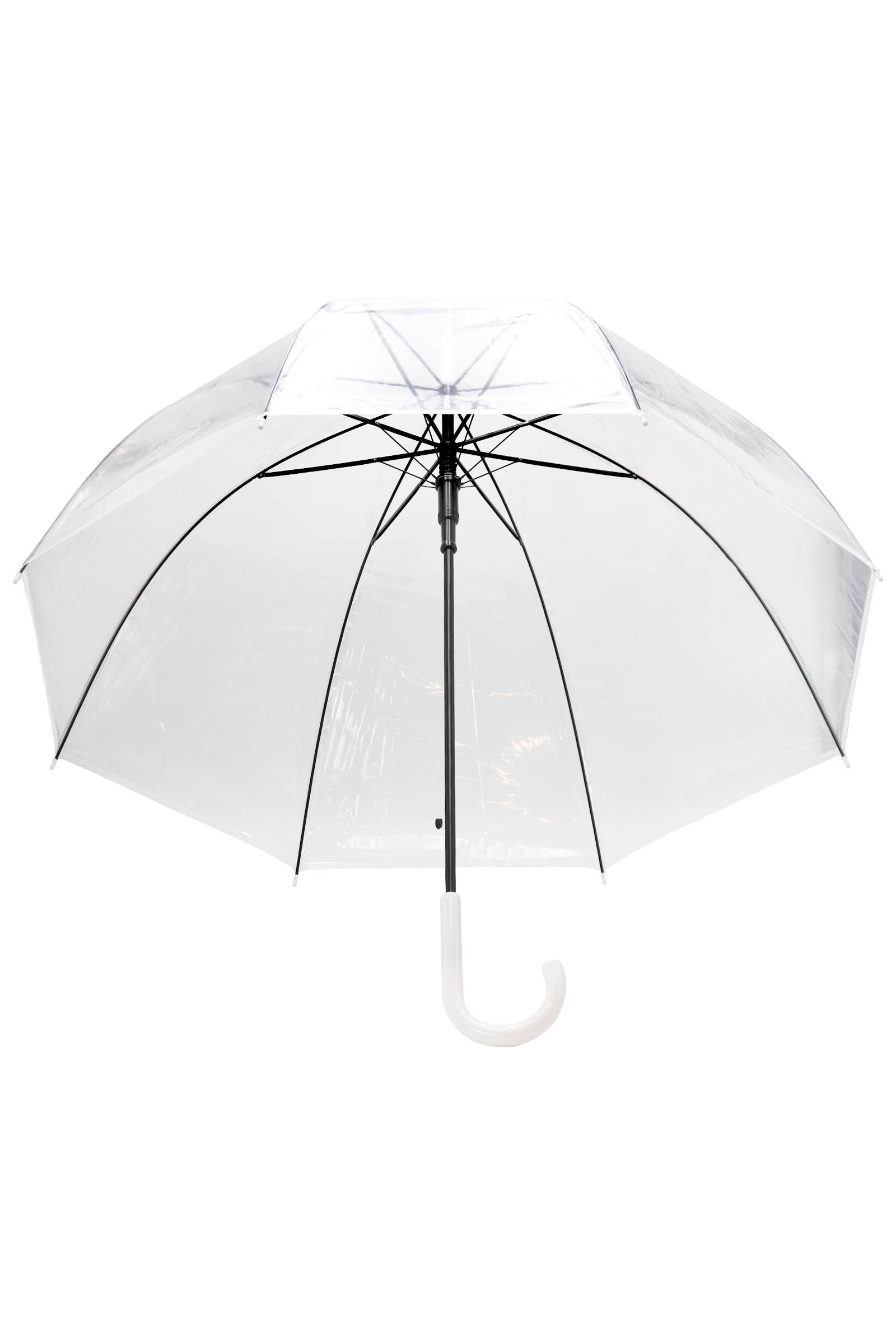 Clear Sky: Bubble Dome Umbrella