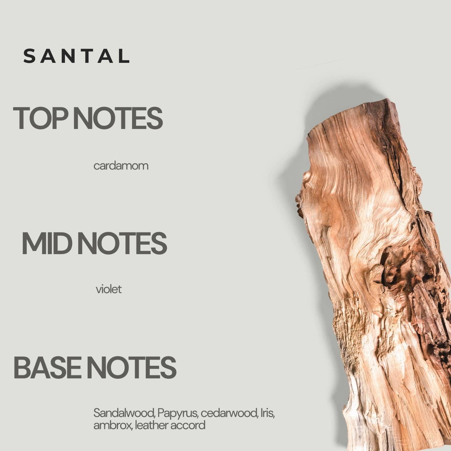 Santal Roll On Perfume