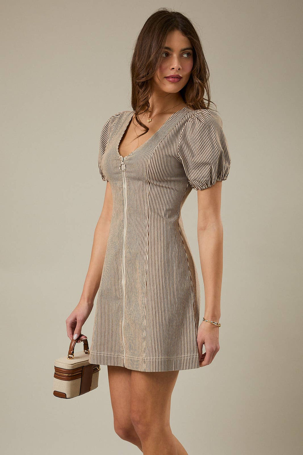 The Saddle Stripe Mini Dress