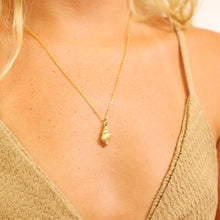 Load image into Gallery viewer, 18K Gold PVD Stainless Steel Conch Seashell Charm: Gold
