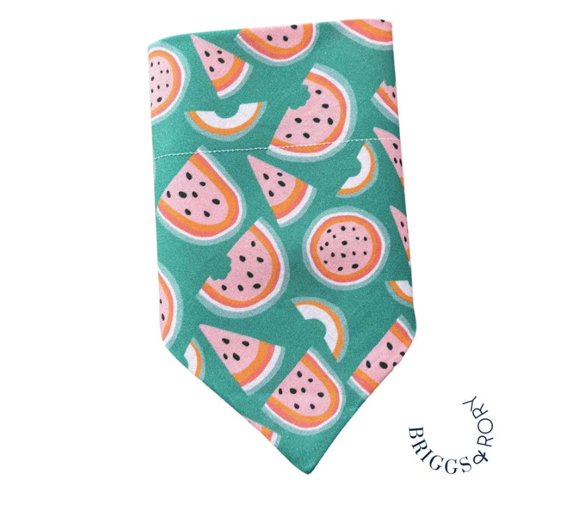 Watermelon Doggy Bandana