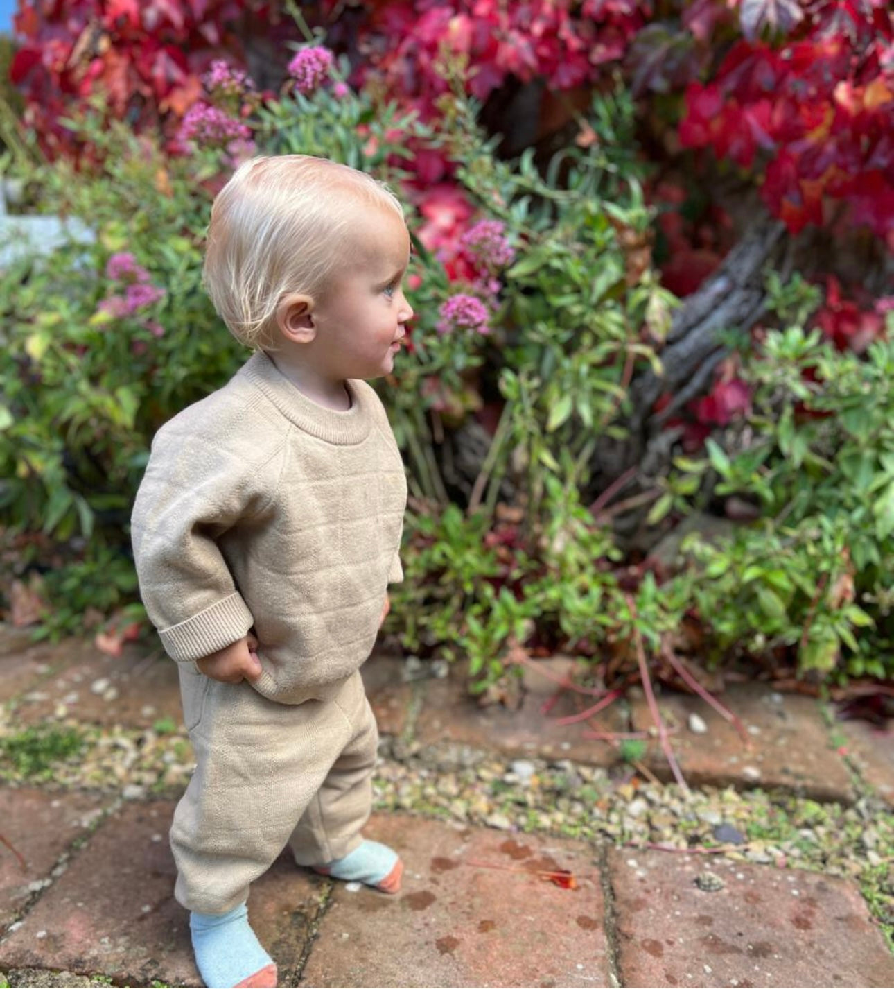 Oatmeal Sweater Pants