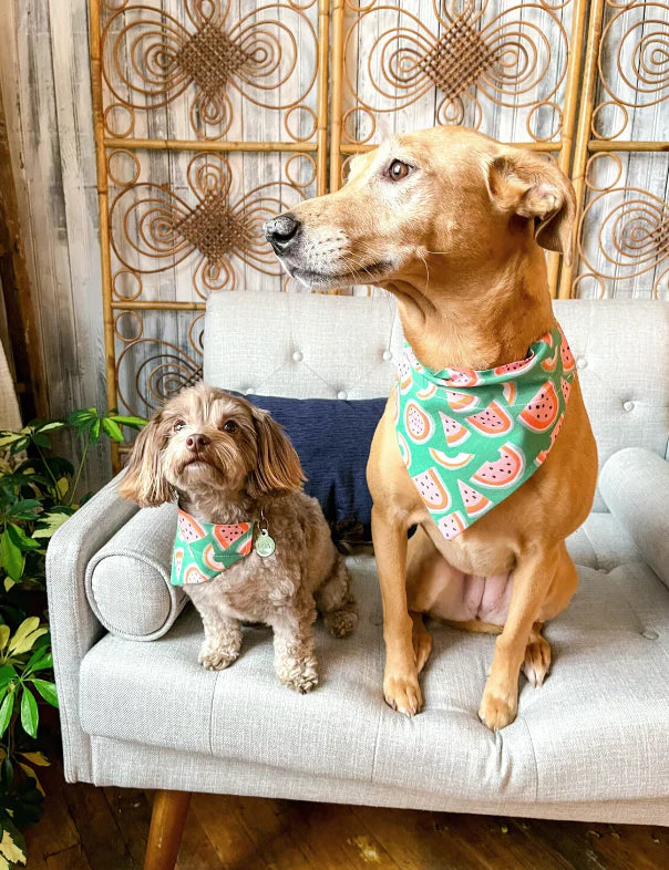 Watermelon Doggy Bandana