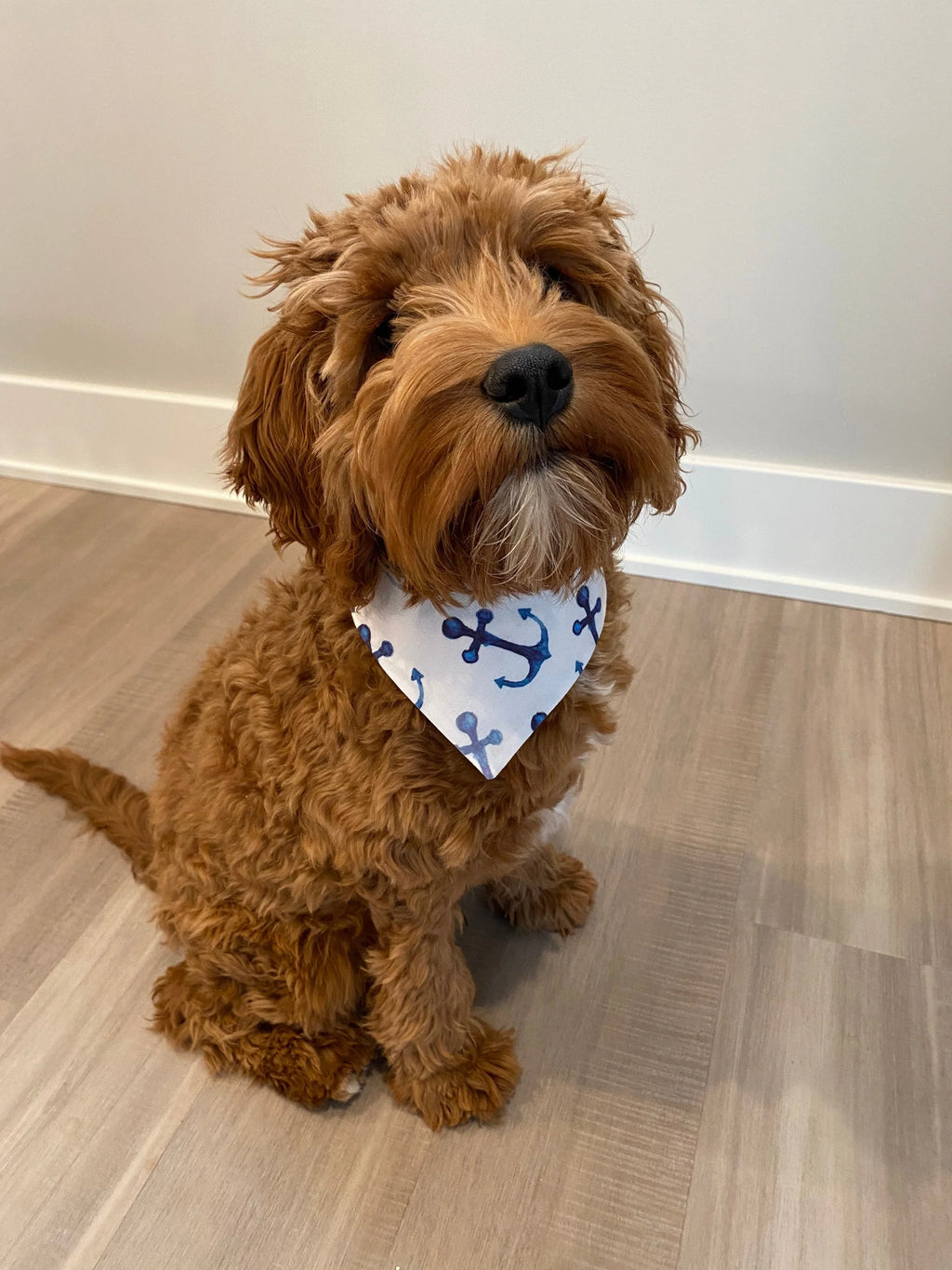 Anchor Doggy Bandana